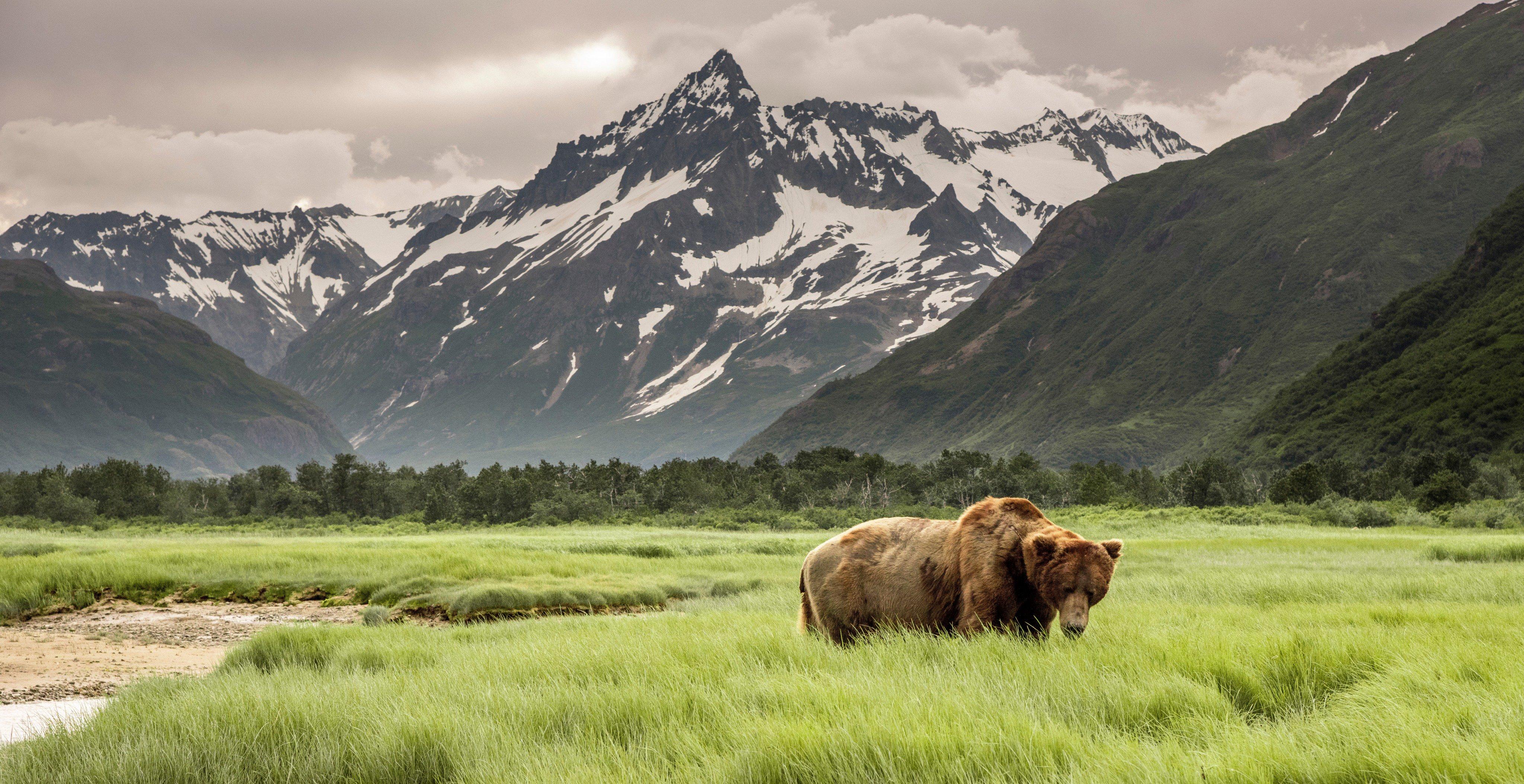 Alaska mountain landscape